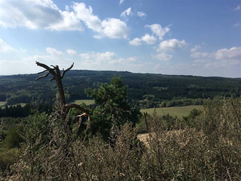 Burg Hartenstein (Hartenštejn) ein Ausflug ins Böhmische Vogtland
