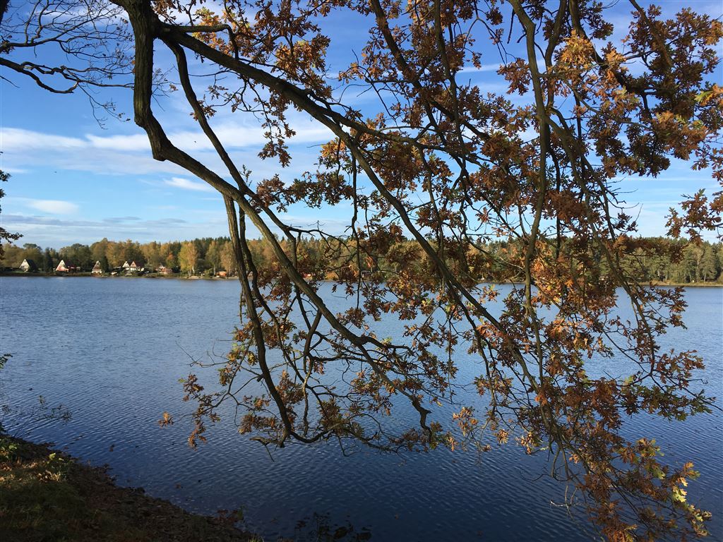 31+ Wetter Plothener Teiche, Get plothener teiche, thuringia weather