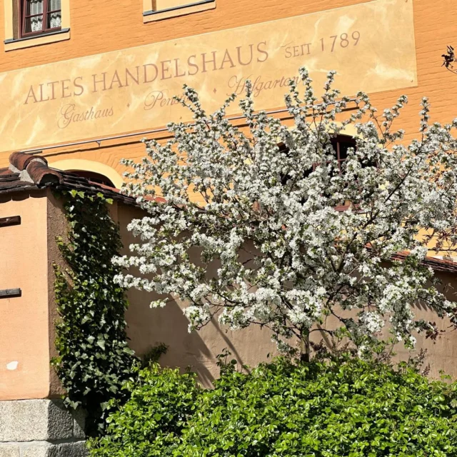 Noch ein letztes frühlingshaftes Bild aus Plauen.

#plauen #vogtland #vogtlandzauber #museum #frühling #spring